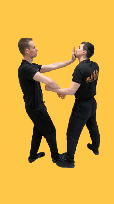 ModernSelfdefense__41_-removebg-preview(1)